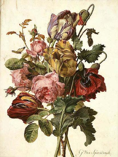 Gerard van Spaendonck Bouquet of Tulips, Roses and an Opium Poppy, with a Pale Clouded Yellow Butterfly, a Red Longhorn Beetle and a Sevenspotted Ladybug oil painting picture